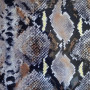 Heat Transfer Film Printing